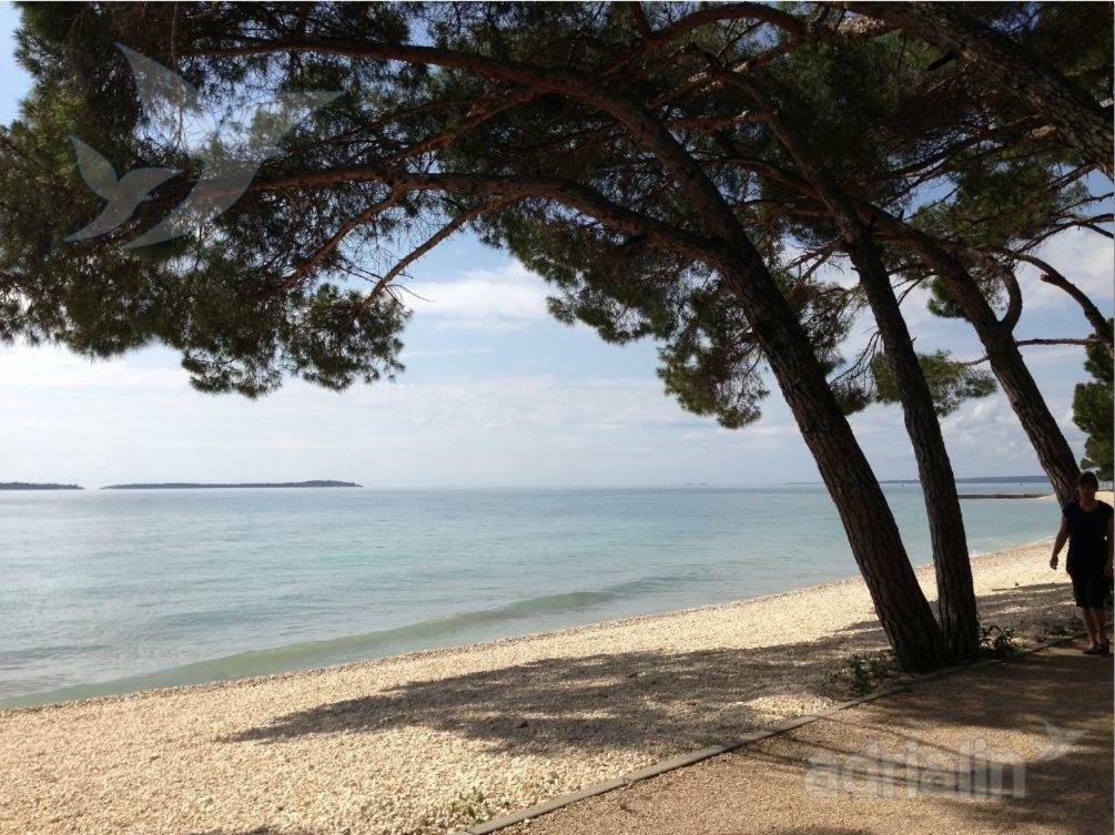 Apartmani Petunia Fažana Esterno foto